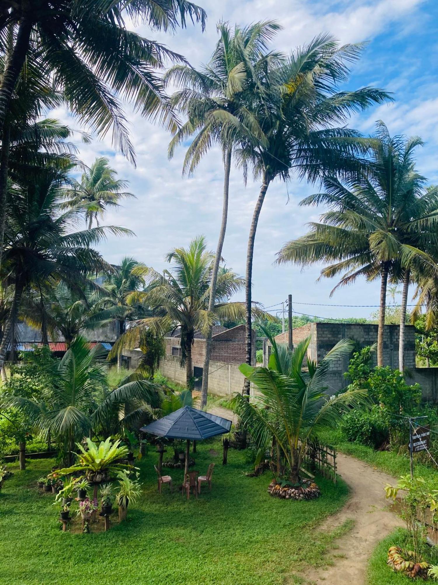 Tropical Point Inn Matara Exteriér fotografie